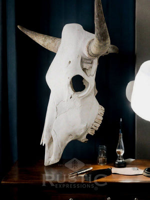 Cow Skulls