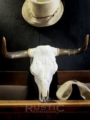 Cow Skulls