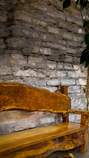 Mezquite Bench (One of a kind)