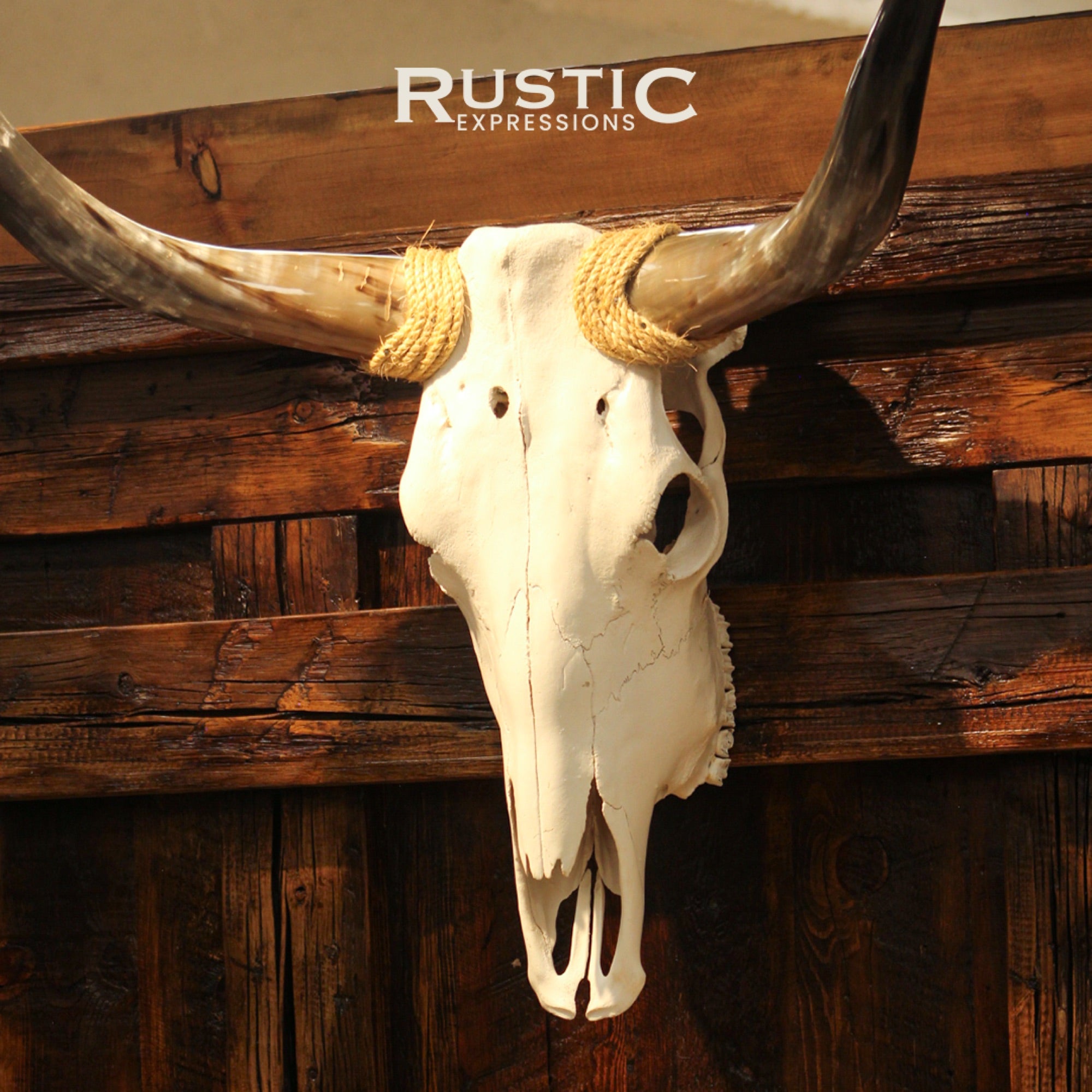 Decorative longhorn skull mounted on a rustic wooden wall